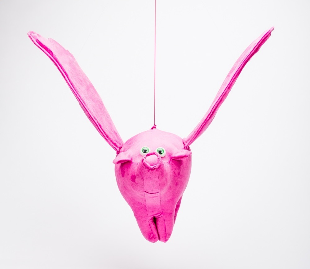 Flying Pig Pigasus the friend of Primrose Puggle The Lost Forests