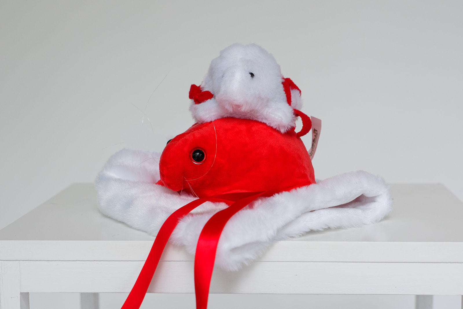 Bundle #6